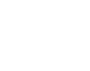 about-5-data-points WHITE