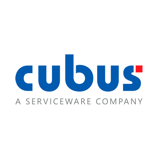Cubus outperform EV Analytics