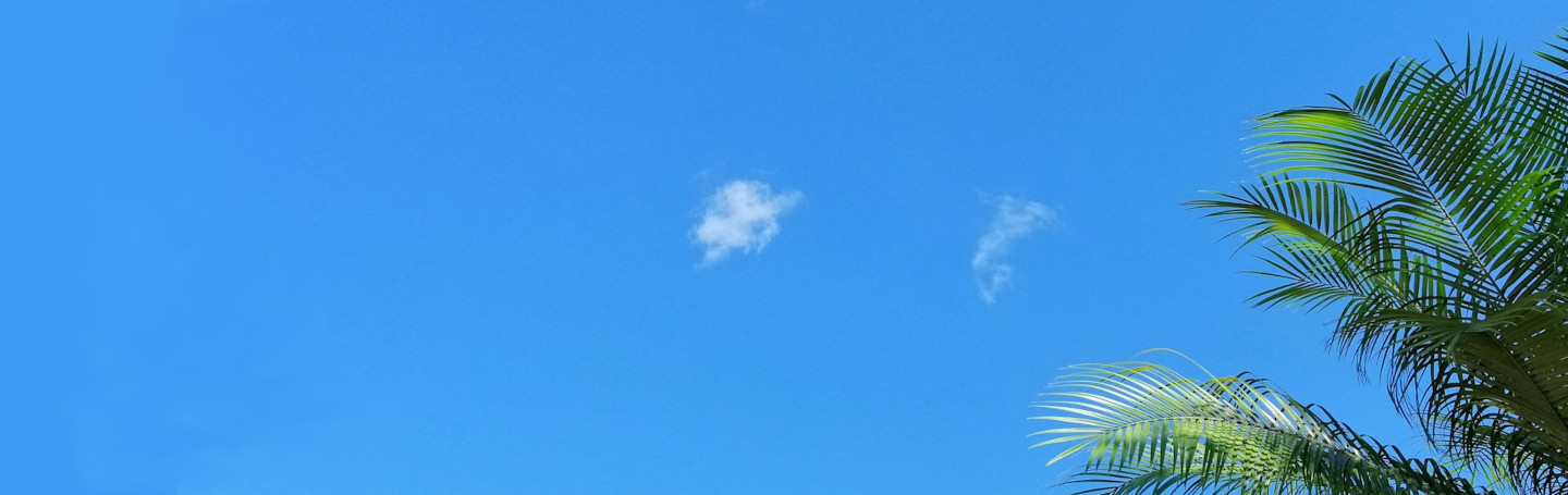 Blue Sky Forecast For Azul: Intelligence Cloud Gets JVM Inventory Tool For Java Migrations